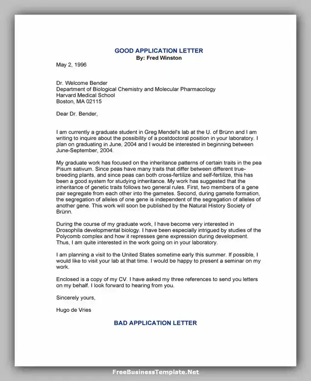 letter of Application Template Word 31