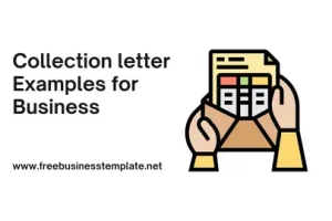 Collection letter Examples for Business Presentation